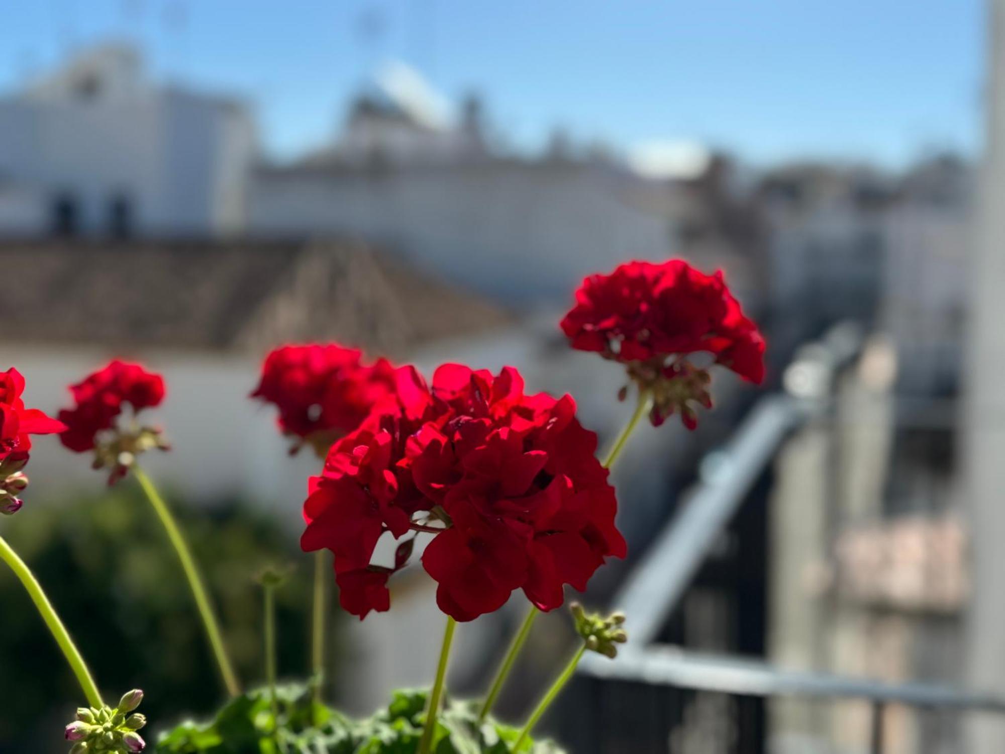 Encantadora Casa En El Corazon De Estepona Zewnętrze zdjęcie