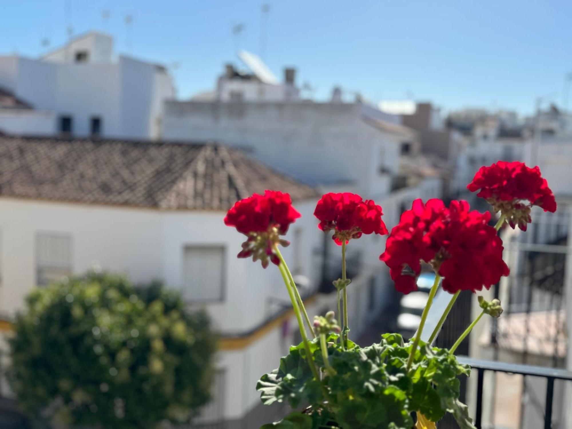 Encantadora Casa En El Corazon De Estepona Zewnętrze zdjęcie